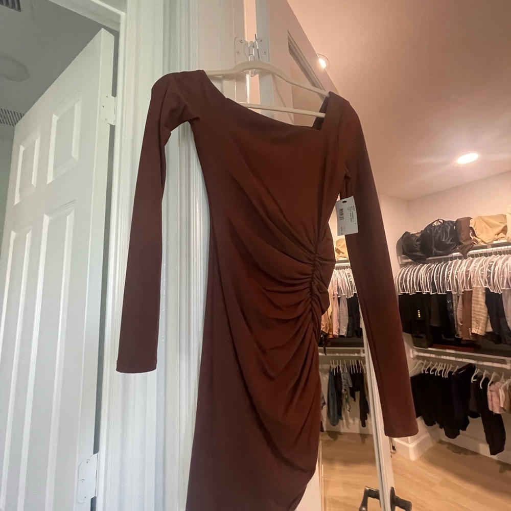 ALIX NYC Brown Ruched Dress